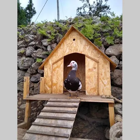 בקתה La Tagora Conect With The Nature & Relax *