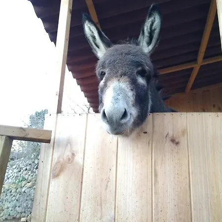 La Tagora Conect With The Nature & Relax * איקוד דה לוס וינוס