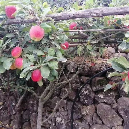 La Tagora Conect With The Nature & Relax בקתה