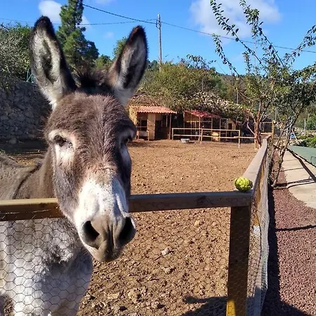 La Tagora Conect With The Nature & Relax איקוד דה לוס וינוס