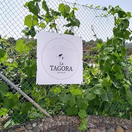 La Tagora Conect With The Nature & Relax