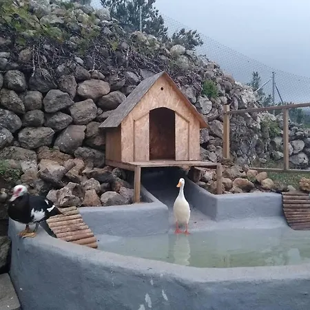 בקתה La Tagora Conect With The Nature & Relax *