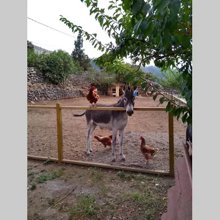 La Tagora Conect With The Nature & Relax * إيكود ذي لوس فينوس