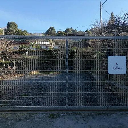 La Tagora Conect With The Nature & Relax בקתה איקוד דה לוס וינוס