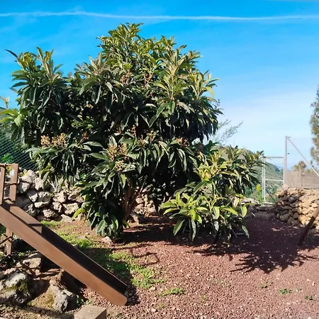 La Tagora Conect With The Nature & Relax * Icod De Los Vinos