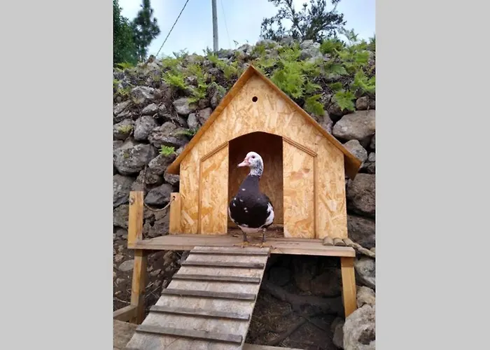 Chalet La Tagora Conect With The Nature & Relax *