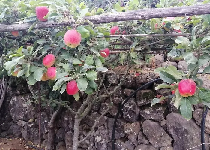 La Tagora Conect With The Nature & Relax Domek alpejski