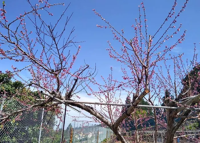 La Tagora Conect With The Nature & Relax