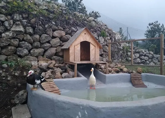 Domek alpejski La Tagora Conect With The Nature & Relax *