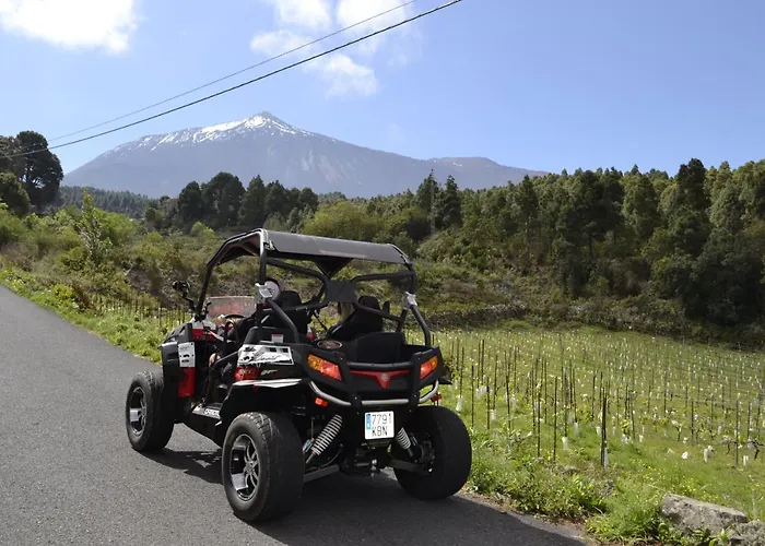 La Tagora Conect With The Nature & Relax Domek alpejski Icod De Los Vinos