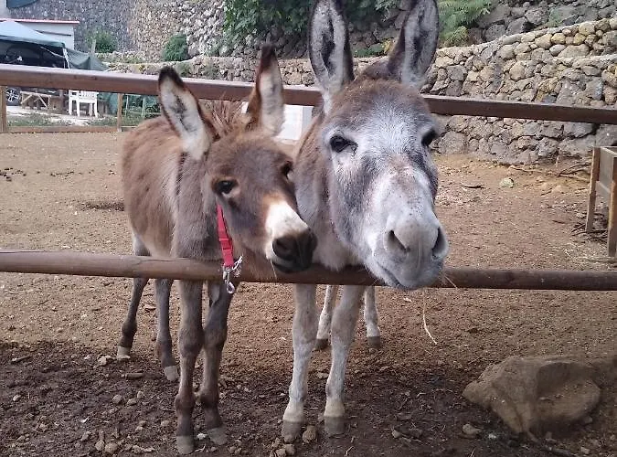 Domek alpejski La Tagora Conect With The Nature & Relax