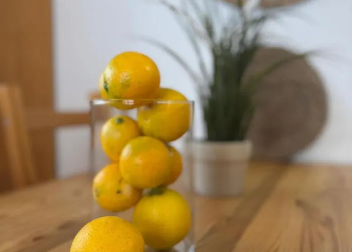 La Tagora Conect With The Nature & Relax