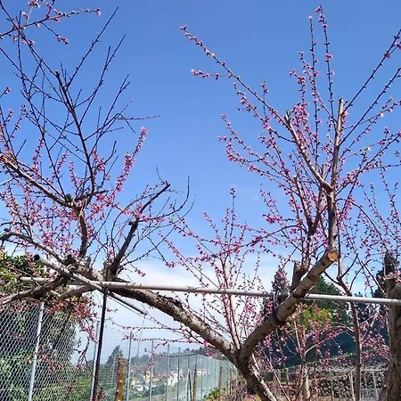 La Tagora Conect With The Nature & Relax