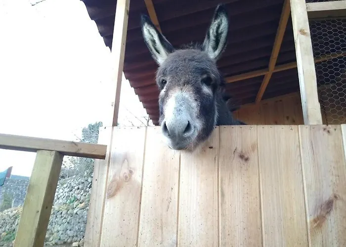 La Tagora Conect With The Nature & Relax * إيكود ذي لوس فينوس