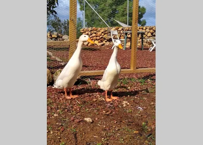 La Tagora Conect With The Nature & Relax Chalet *