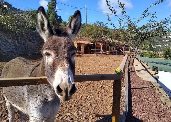 La Tagora Conect With The Nature & Relax إيكود ذي لوس فينوس