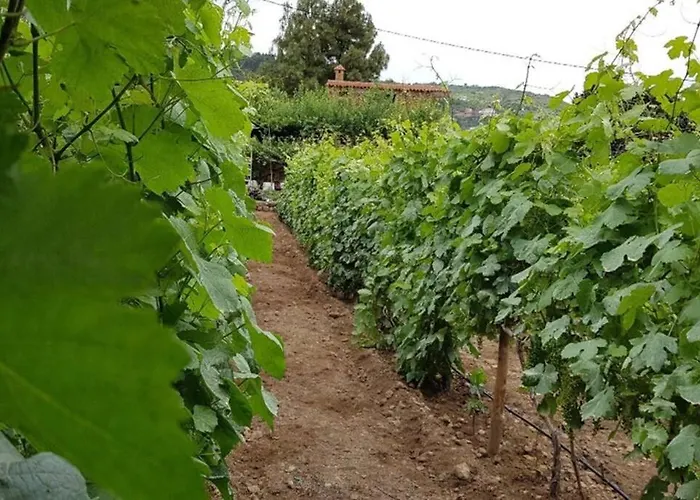 La Tagora Conect With The Nature & Relax