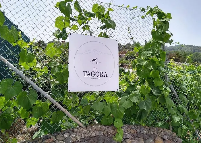 La Tagora Conect With The Nature & Relax