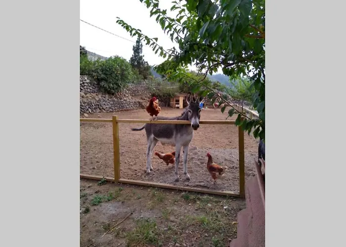 La Tagora Conect With The Nature & Relax * إيكود ذي لوس فينوس